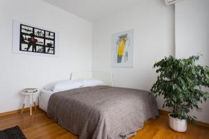 Apartment Bonbon 
