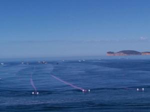 Cozy apartment Mati Alghero historic center img12