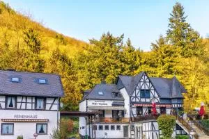 姆赫沃格尔桑历史公寓 - 布罗登巴赫