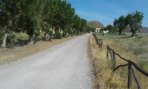 Villa Poseidon Lesvos Greece