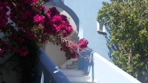 Blue and White Naxos Greece