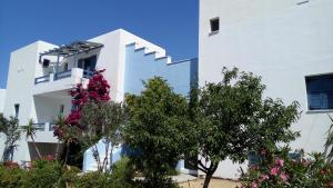 Blue and White Naxos Greece