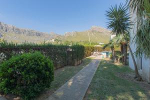 Apartamentos Massol