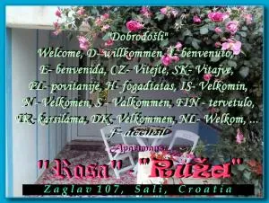 Apartment Ruza - Zaglav