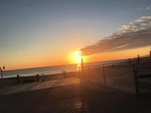 Driftwood Motel - Williams