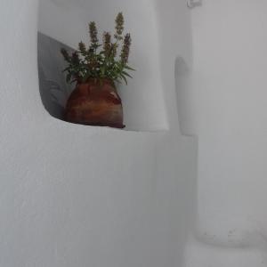 Olyra Traditional Cave Houses Santorini Greece