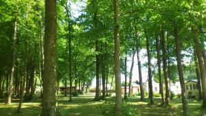 Campings Gite Le Bois Fleuri : photos des chambres