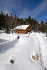 Appart'hotels Le Couaroge Chalets et Appartements : photos des chambres