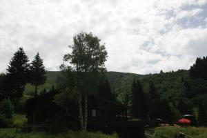 Lodges La Chanterelle - Mountain Lodge : photos des chambres