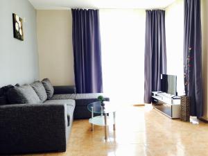 PSB Deluxe Apartments Aheloy