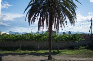 Mas Taniet Hotel Rural