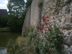 B&B / Chambres d'hotes Chateau de Chemery : photos des chambres