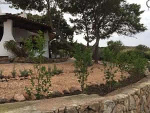 Appartamenti In Villa La Marinedda