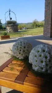 Alloggio Franciscus - Cinto Euganeo