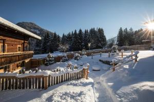 Bergchalet Rauchenhof