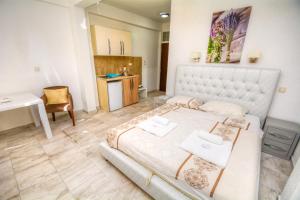 Bocche di Cattaro Studios