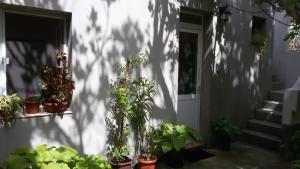 Guest House Old Sozopol