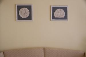 Guest House Domo Florenzia