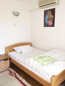 Single Room room in Apartmani Olimpus