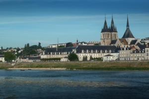 Hotels Logis Cote Loire - Auberge Ligerienne : photos des chambres