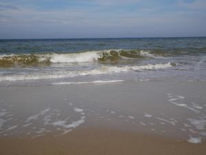 Huize de Duinen