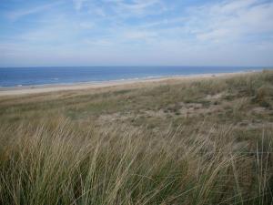 Huize de Duinen