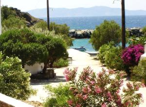 Elia Apartments Tinos Greece