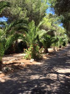 Camping Cala dei Ginepri