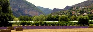 Campings Camping les Princes d'Orange : photos des chambres