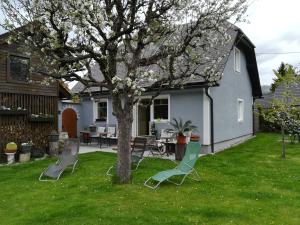 Cottage Ferienhaus T&uuml;chler Tamsweg Austria