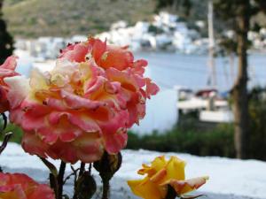 Anna Studio Amorgos Greece