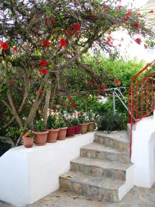 Anna Studio Amorgos Greece