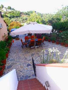 Tzaneria Apartments Skiathos Skiathos Greece