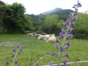 Casa Santafe CR-HU-1271