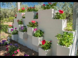 Sunray Apartments Thassos Greece