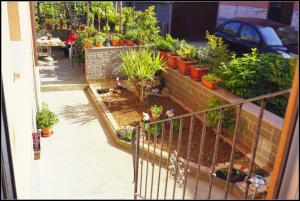 Orlandos Apartments OJ