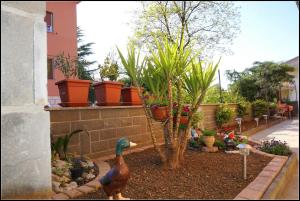 Orlandos Apartments OJ