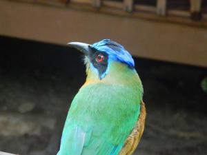 Beloalter Hotel Casa do Saulo