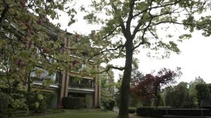 Home by Livingdowntown