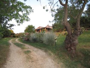 Agriturismo Casa Fibbianello