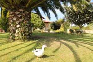 Casa Torreteyera - Argüero