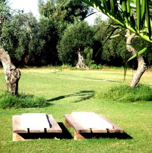 Domus Antiga Appartamenti img77