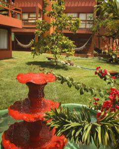 Naquela Jericoacoara