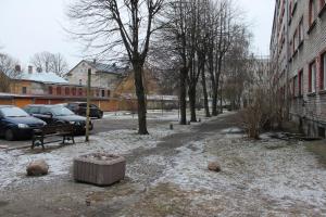 Vītolu 2733
