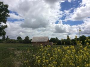 Lodges Shanti Lac Cabanes gites insolites et espace bien-etre Bordeaux : photos des chambres