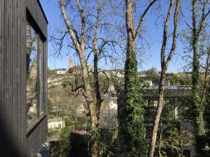 Appartements Le studio Florent : photos des chambres