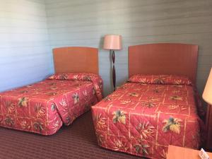 Budget Double Room room in Dolphin Inn