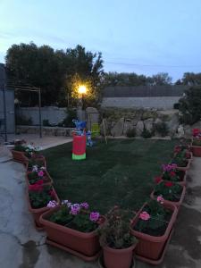 Azienda Multifunzionale S'Ozastro img45