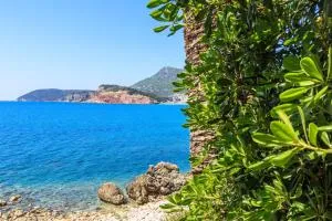 Apartmani Capri - Zlatna Obala