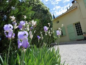 B&B / Chambres d'hotes Le Mas des Oliviers : photos des chambres